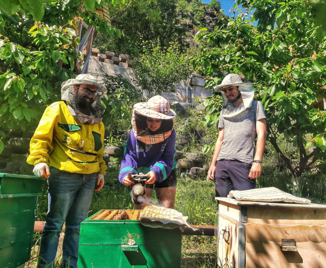 Armbee Honey Farm Chalet